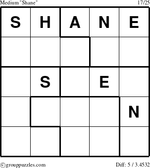 The grouppuzzles.com Medium Shane puzzle for 