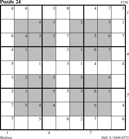 Step-by-Step Instructions for Puzzle 24 with all 8 steps marked